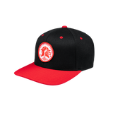 TNWB Snapback